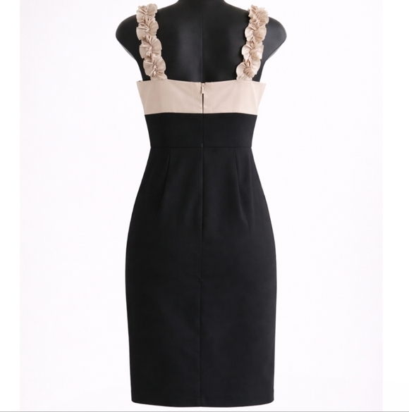 Maggy London |  Sophisticated Black and Beige Cocktail Dress - Picture 4 of 8
